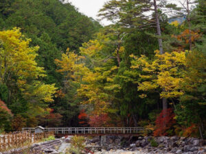 赤坂自然休養林 、紅葉、11月秋、長野県木曽郡の観光・撮影スポットの名所