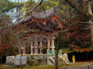 醍醐寺 、紅葉、11月秋、京都府京都市の観光・撮影スポットの名所