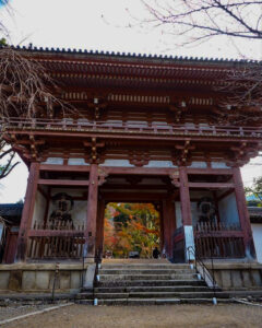 醍醐寺 、紅葉、11月秋、京都府京都市の観光・撮影スポットの名所
