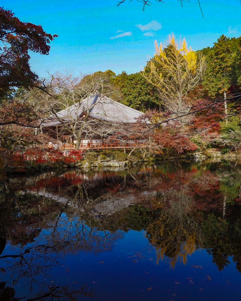 醍醐寺 、紅葉、11月秋、京都府京都市の観光・撮影スポットの名所