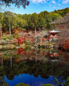 醍醐寺 、紅葉、11月秋、京都府京都市の観光・撮影スポットの名所