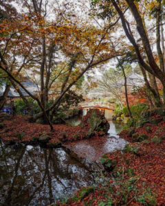 醍醐寺 、紅葉、11月秋、京都府京都市の観光・撮影スポットの名所