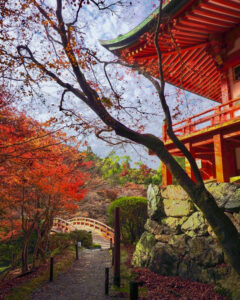 醍醐寺 、紅葉、11月秋、京都府京都市の観光・撮影スポットの名所