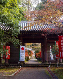醍醐寺 、紅葉、11月秋、京都府京都市の観光・撮影スポットの名所