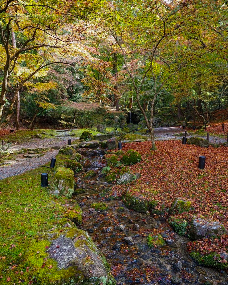 醍醐寺 、紅葉、11月秋、京都府京都市の観光・撮影スポットの名所