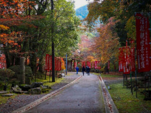 醍醐寺 、紅葉、11月秋、京都府京都市の観光・撮影スポットの名所