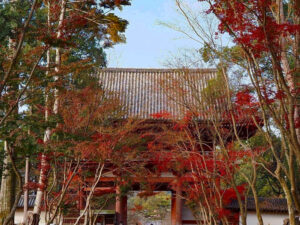 醍醐寺 、紅葉、11月秋、京都府京都市の観光・撮影スポットの名所