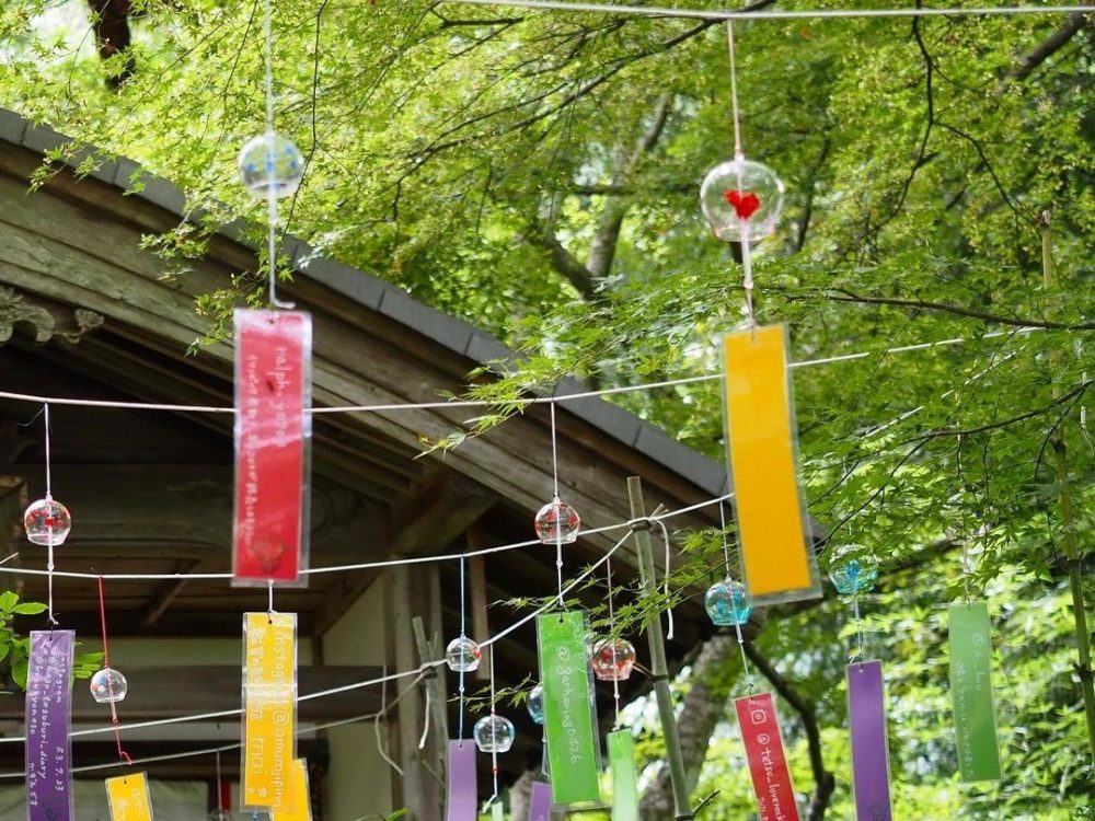 長寿寺 、風鈴、新緑、夏景色、8月夏、滋賀県湖南市の観光・撮影スポットの名所