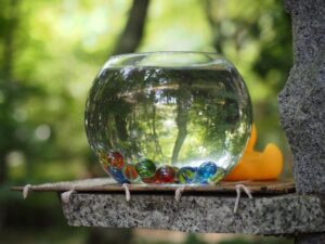 長寿寺 、小物、夏景色、8月夏、滋賀県湖南市の観光・撮影スポットの名所