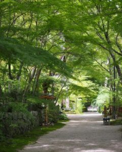 長寿寺 、新緑、夏景色、8月夏、滋賀県湖南市の観光・撮影スポットの名所
