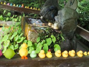 長寿寺 、花手水舎、夏景色、8月夏、滋賀県湖南市の観光・撮影スポットの名所