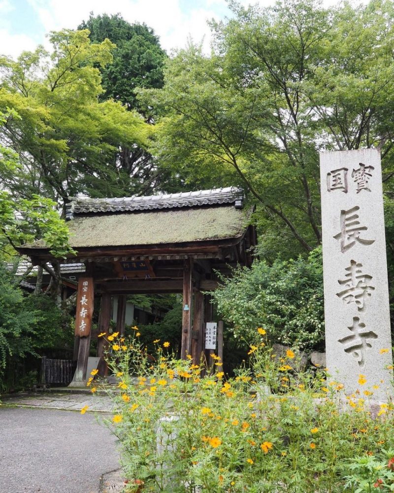 長寿寺 、新緑、夏景色、8月夏、滋賀県湖南市の観光・撮影スポットの名所