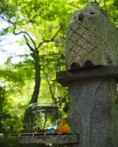 長寿寺 、小物、夏景色、8月夏、滋賀県湖南市の観光・撮影スポットの名所