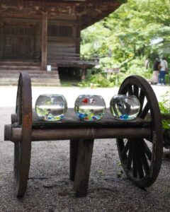 長寿寺 、小物、夏景色、8月夏、滋賀県湖南市の観光・撮影スポットの名所