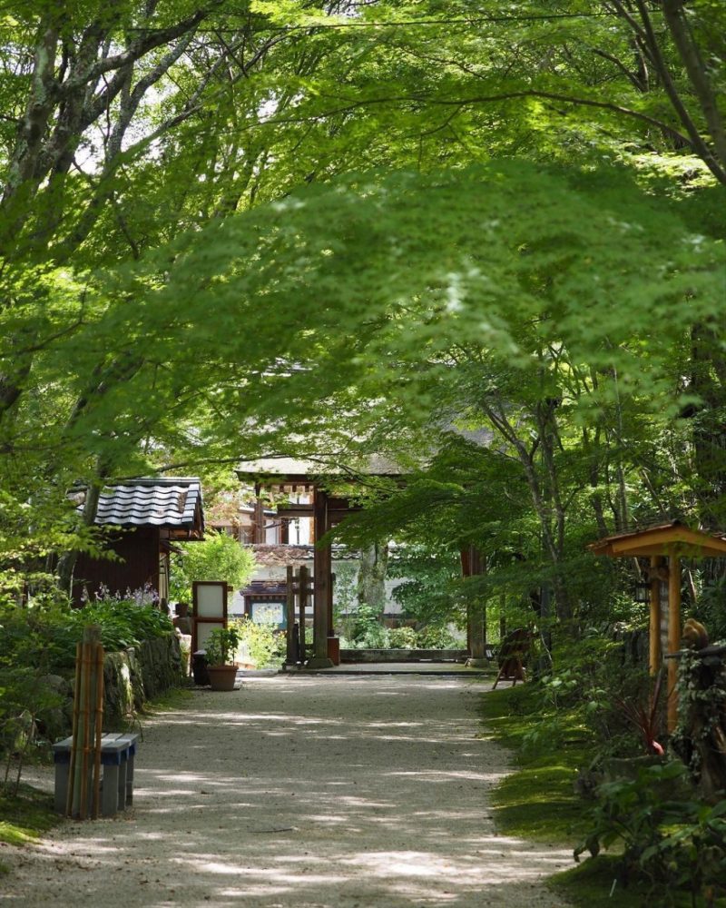 長寿寺 、新緑、夏景色、8月夏、滋賀県湖南市の観光・撮影スポットの名所