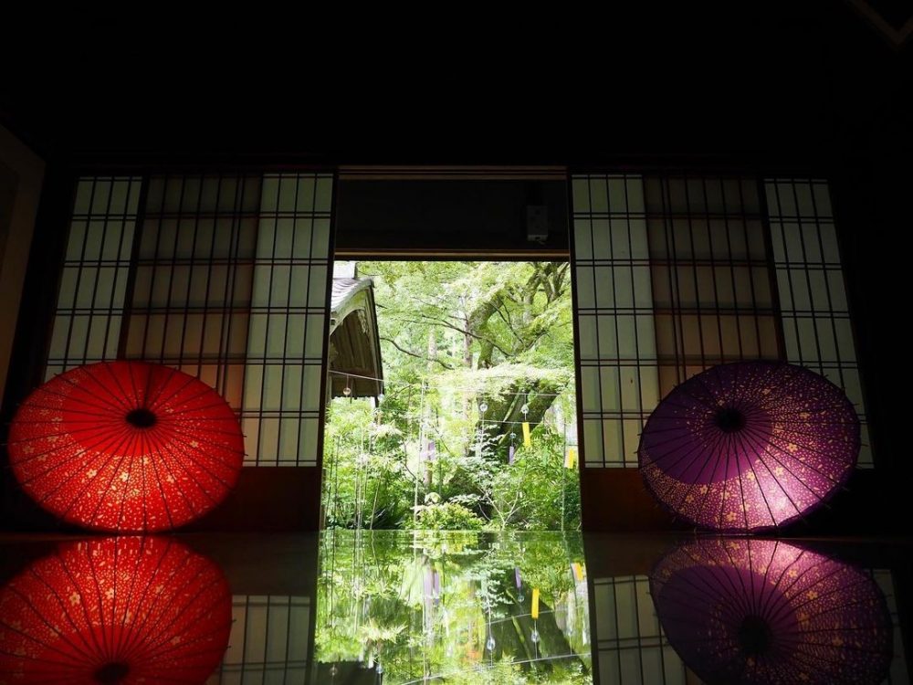 長寿寺 、和傘、8月夏、滋賀県湖南市の観光・撮影スポットの名所