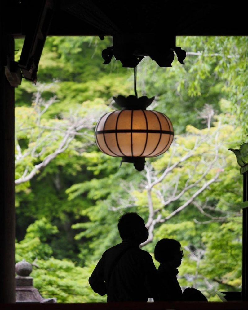 長谷寺、新緑、夏、奈良県桜井市の観光・撮影スポットの名所