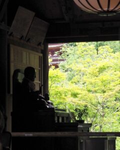 長谷寺、新緑、夏景色、奈良県桜井市の観光・撮影スポットの名所