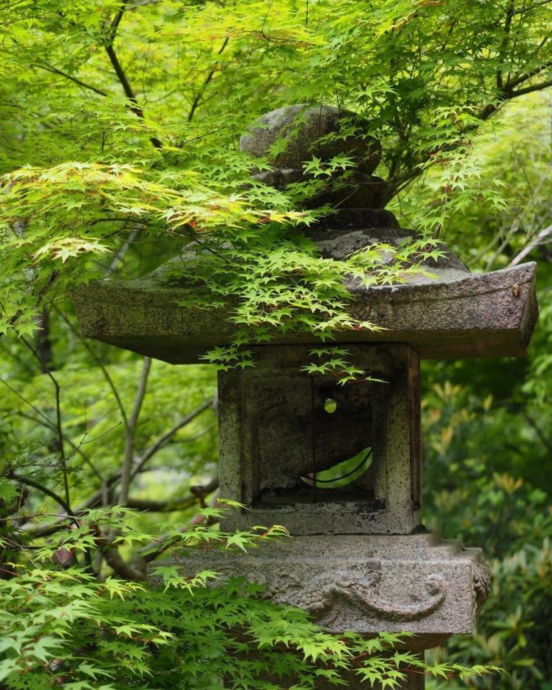 長谷寺、新緑、夏景色、奈良県桜井市の観光・撮影スポットの名所