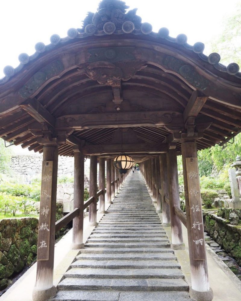 長谷寺、奈良県桜井市の観光・撮影スポットの名所