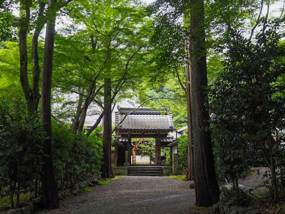 青岸寺 、夏景色、新緑、6月夏、滋賀県米原市の観光・撮影スポットの名所