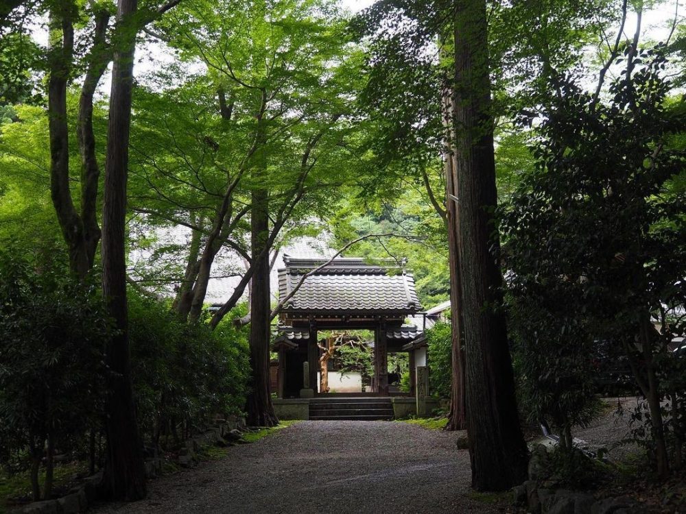 青岸寺 、夏景色、新緑、6月夏、滋賀県米原市の観光・撮影スポットの名所