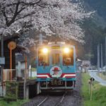 高科駅、樽見鉄道、桜、4月春、岐阜県揖斐郡の観光・撮影スポットの画像と写真