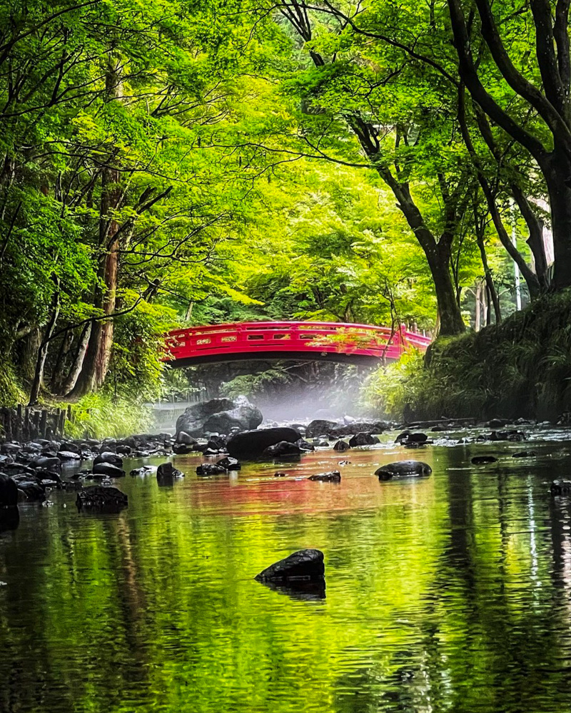 新緑 夏景色の観光 撮影スポット 岐阜県 長野県 滋賀県 京都府 山梨県 東海カメラマップ