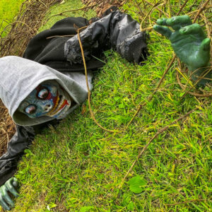 フラワーパーク江南、ハロウィン、10月の秋の花、愛知県江南市の観光・撮影スポットの画像と写真