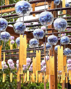 正寿院、風鈴、7月、夏、京都府綴喜郡の観光・撮影スポットの名所