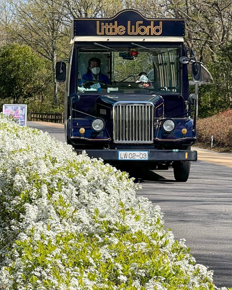 リトルワールド、バス、4月春の花、愛知県犬山市の観光・撮影スポットの名所