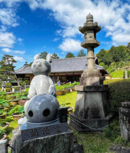 三室戸寺、6月夏の花、京都府宇治市の観光・撮影スポットの名所
