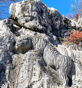 明星輪寺 、トラ、岐阜県大垣市の観光・撮影スポットの名所