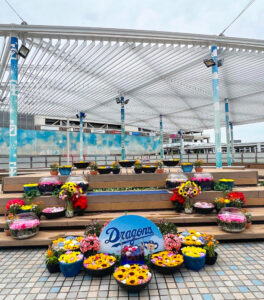 ドラゴンズウオーターフラワー、花手水、バンテリンドーム、5月夏、名古屋市東区の観光・撮影スポットの名所