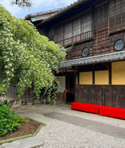 萬三の白モッコウバラ 、4月の春の花、愛知県半田市の観光・撮影スポットの名所