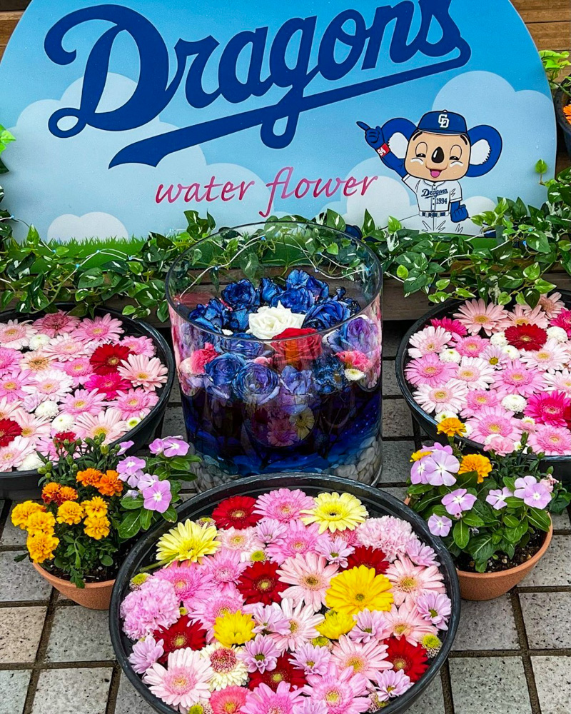 ドラゴンズウオーターフラワー、花手水、バンテリンドーム、5月夏、名古屋市東区の観光・撮影スポットの名所