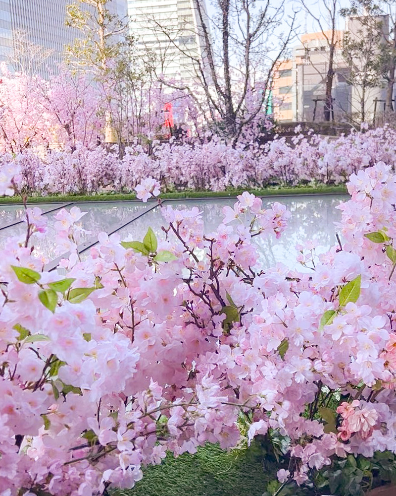 大名古屋ビルヂング、さくら、春の花、2022年3月、名古屋市中村区の観光・撮影スポットの名所
