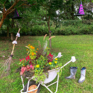 フラワーパーク江南、ハロウィン、10月の秋の花、愛知県江南市の観光・撮影スポットの画像と写真