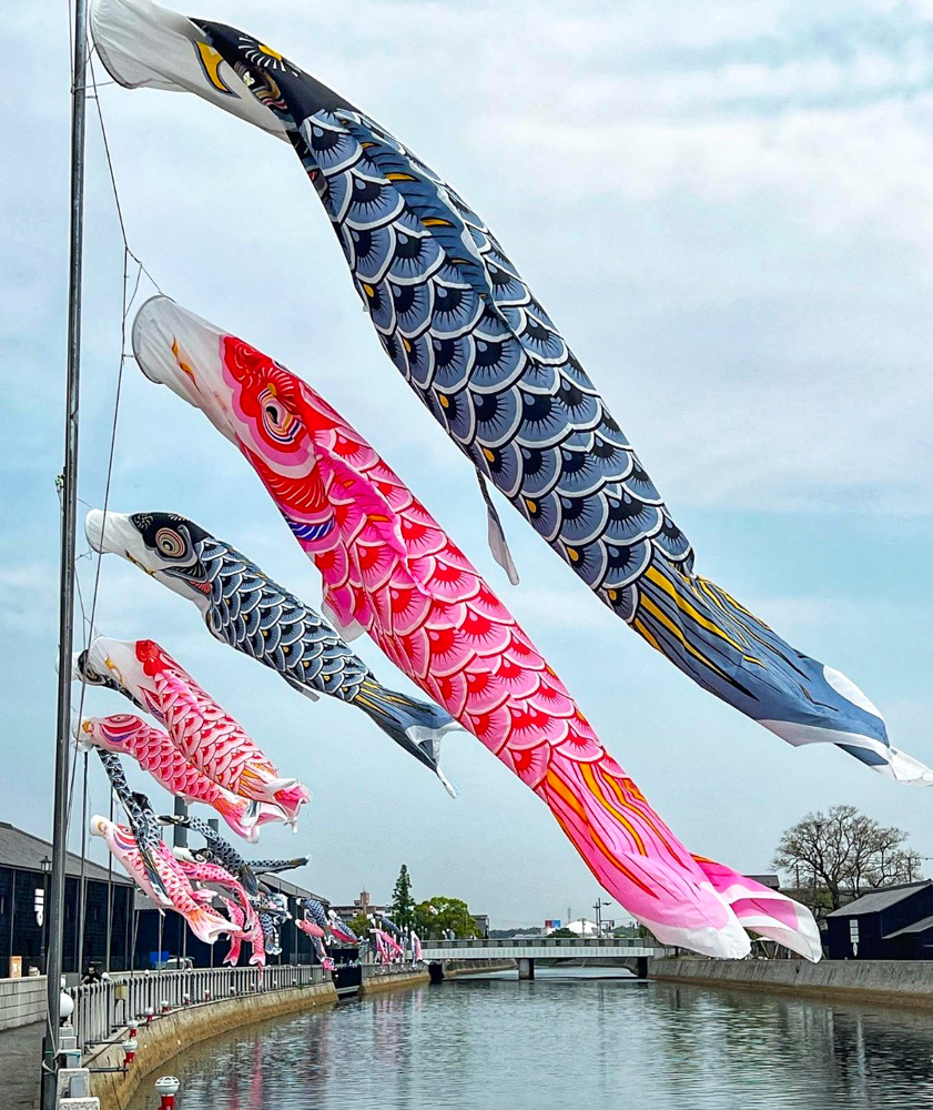 半田運河、鯉のぼり、4月春、愛知県半田市の観光・撮影スポットの画像と写真