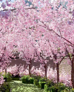 大名古屋ビルヂング、さくら、春の花、2022年3月、名古屋市中村区の観光・撮影スポットの名所