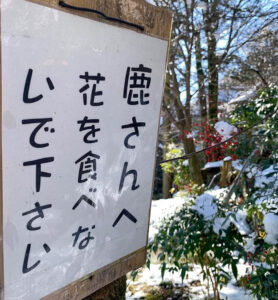 明星輪寺 、岐阜県大垣市の観光・撮影スポットの名所
