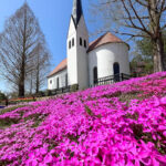 リトルワールド、芝桜、4月春の花、愛知県犬山市の観光・撮影スポットの名所
