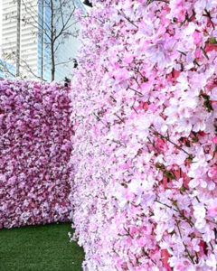 大名古屋ビルヂング、さくら、春の花、2022年3月、名古屋市中村区の観光・撮影スポットの名所