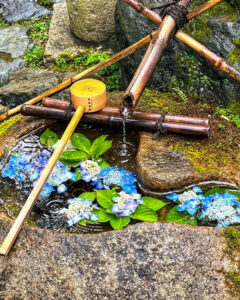 正寿院、花手水、7月、夏、京都府綴喜郡の観光・撮影スポットの名所