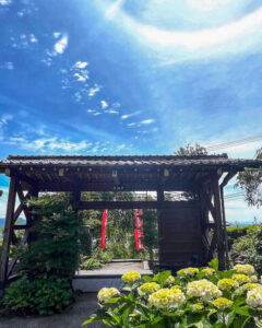 弓削寺、あじさい、岐阜県揖斐郡の観光・撮影スポットの画像と写真