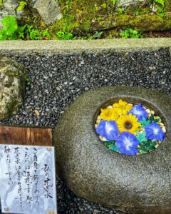 正寿院、花手水、7月、夏、京都府綴喜郡の観光・撮影スポットの名所