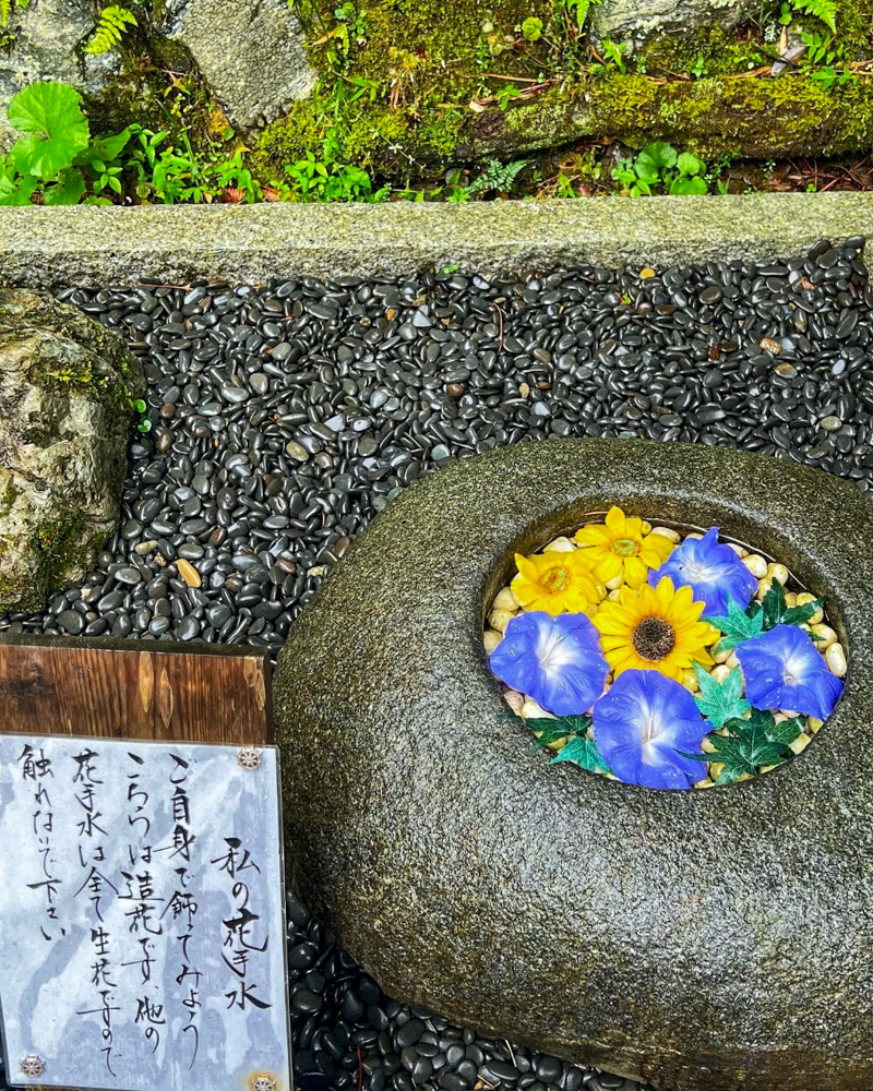 正寿院、花手水、7月、夏、京都府綴喜郡の観光・撮影スポットの名所
