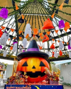 河川環境楽園オアシスパーク、ハロウィン、10月の秋の花、岐阜県各務原市の観光・撮影スポットの画像と写真