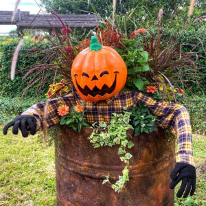 フラワーパーク江南、ハロウィン、10月の秋の花、愛知県江南市の観光・撮影スポットの画像と写真