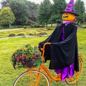 フラワーパーク江南、ハロウィン、10月の秋の花、愛知県江南市の観光・撮影スポットの画像と写真